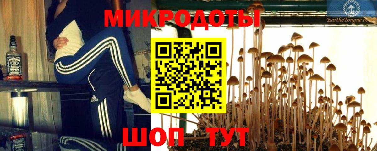Галлюциногенные грибы прущие грибы  Вход с VPN  Псилоцибиновые грибы Magic Shrooms  Саранск 